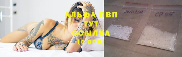 прущие крисы Баксан