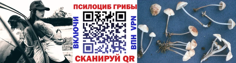 Псилоцибиновые грибы GOLDEN TEACHER  Козельск 